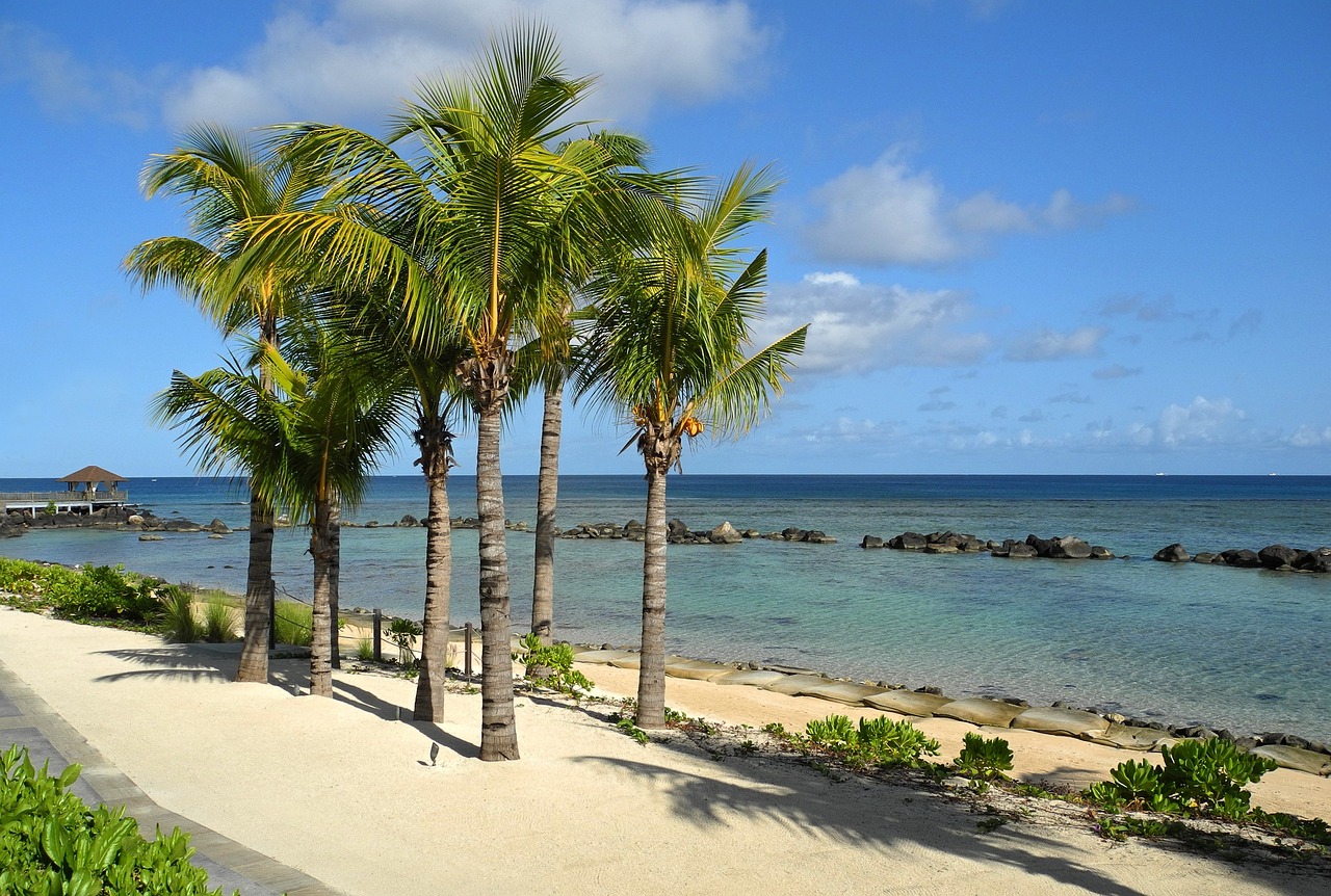Plage avec sable blanc et fin, palmiers, mer transparente sur l'Ile Maurice